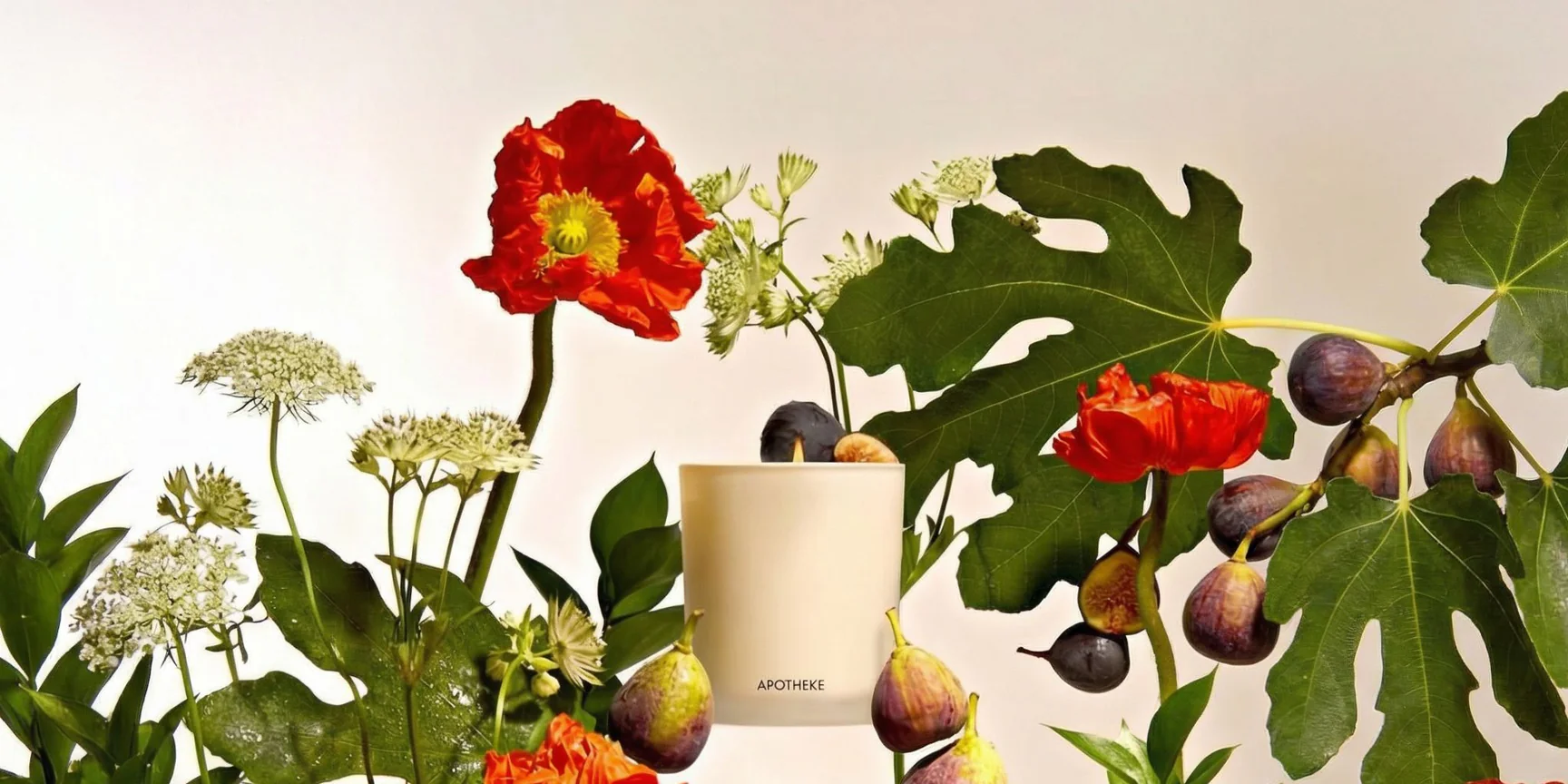 Elevate Your Everyday With Fragrance